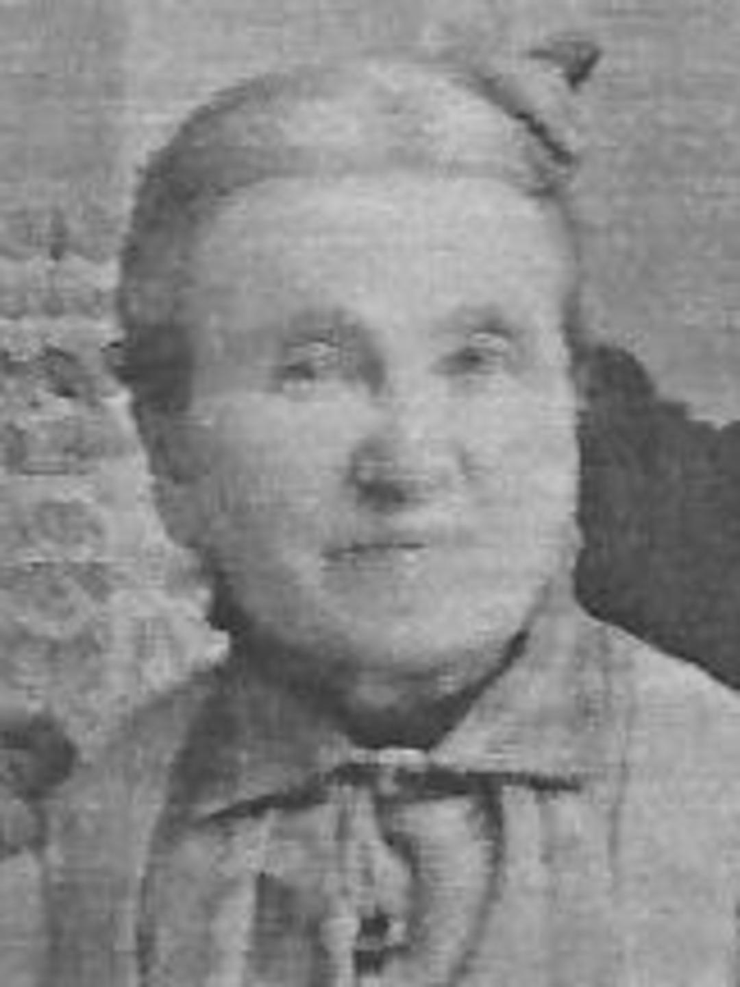 Elizabeth Louisa Wilson (1829 - 1908) Profile